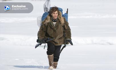 Into The Wild Essay Into The Wild Essay